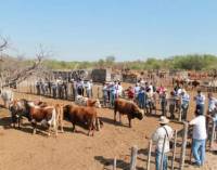 Revista PRODUCCION: El NOA tiene un desafío grande para desarrollar la ganadería