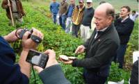 Revista PRODUCCION: Los productores paperos de Tucumán cultivan menos porque hay pérdida de rentabilidad