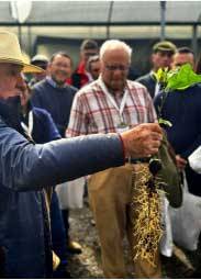 Revista PRODUCCION: Segunda Jornada Internacional de Actualización Técnica en Palta
