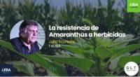 Revista PRODUCCION: Malezas resistentes a herbicidas desafían a la agricultura
