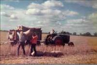 Revista PRODUCCION: Don Américo Ramos descendiente de españoles es un amante del campo del esfuerzo y de la amistad