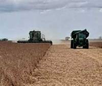 Revista PRODUCCION: Roberto Palomo: Los rindes en soja son, en promedio, de unos 3.000 kg/ha, contra un histórico de 2.450 kg.