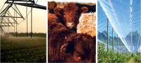 Revista PRODUCCION: Incentivos a la Inversión Productiva Claves del RIMI para el Agro