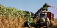 Revista PRODUCCION: La zafra azucarera 2026 avanza a muy buen ritmo en todo el país