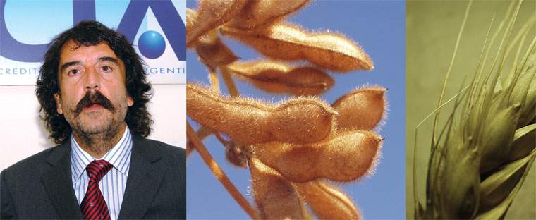 Revista PRODUCCION: Perspectivas económicas para 2009 en un país soja-adicto