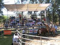 Revista PRODUCCION: Remate anual de Estancia La Porteña