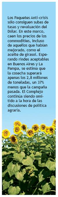 Revista PRODUCCION: La ca&iacute;da de los commodities tambi&eacute;n afect&oacute; al girasol
