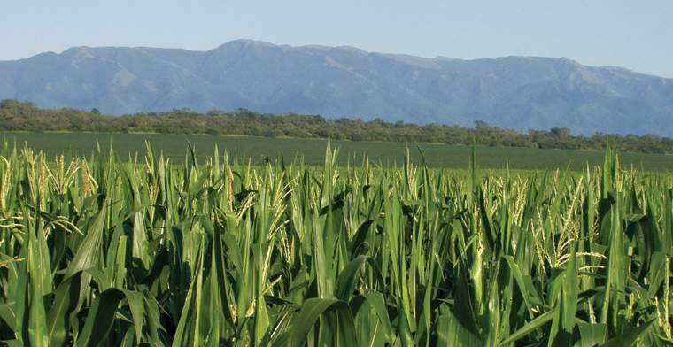 Revista PRODUCCION: Agricultura certificada