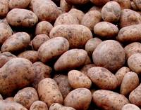 Revista PRODUCCION: Papa: nutrici&oacute;n balanceada