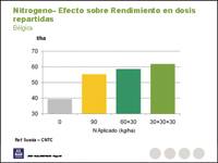 Revista PRODUCCION: Papa: nutrici&oacute;n balanceada