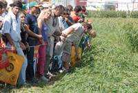 Revista PRODUCCION: Expoagro 2009