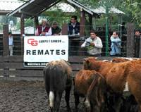 Revista PRODUCCION: Fiesta de los 1000 Terneros