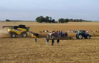 Revista PRODUCCION: New Holland CR9060 en acci&oacute;n