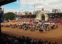 Revista PRODUCCION: 123º Exposici&oacute;n Rural de Palermo