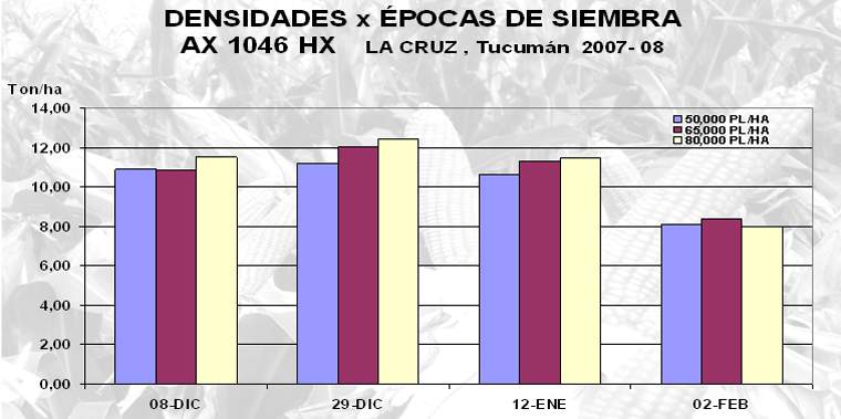 Revista PRODUCCION: Programa de Ma&iacute;ces Tropicales Nidera