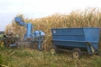 Revista PRODUCCION: Una pequeña gran máquina