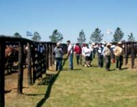 Revista PRODUCCION: Remate anual Ganagrin