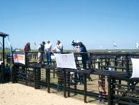 Revista PRODUCCION: Remate anual Ganagrin