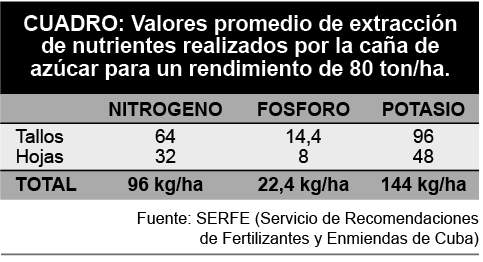 Revista PRODUCCION: Mezclas cañeras YPF