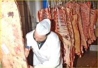 Revista PRODUCCION: R&eacute;cord de exportaci&oacute;n de cortes bovinos