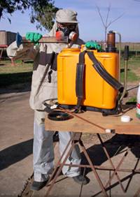 Revista PRODUCCION: Manejo racional de agroqu&iacute;micos