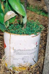 Revista PRODUCCION: Manejo racional de agroqu&iacute;micos