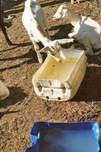 Revista PRODUCCION: Manejo racional de agroqu&iacute;micos