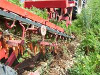 Revista PRODUCCION: Cosechadora mecánica de zanahorias Simon