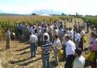 Revista PRODUCCION: Novedades Nidera en soja, maíz y sorgo