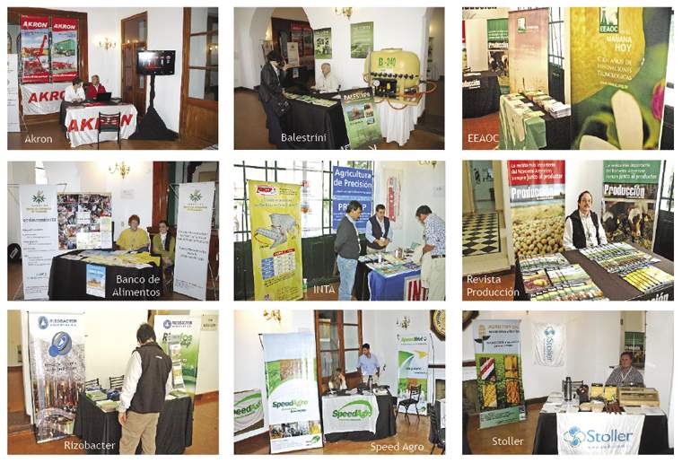 Revista PRODUCCION: En 2010, el NOA vuelve a apostar al trigo 