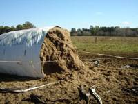 Revista PRODUCCION: Forrajes conservados