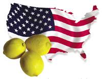 Revista PRODUCCION: El reingreso del limón a Estados Unidos está muy cerca