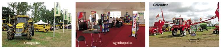 Revista PRODUCCION: Agro Sur 2010