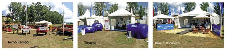 Revista PRODUCCION: Agro Sur 2010