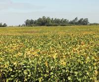 Revista PRODUCCION: Créditos de Banco Tucumán