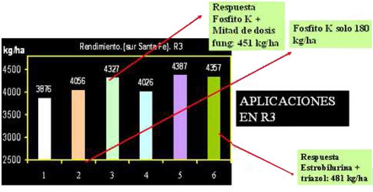 Revista PRODUCCION: Fosfitos en soja