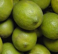 Revista PRODUCCION: Para sacarle el jugo a la producci&oacute;n