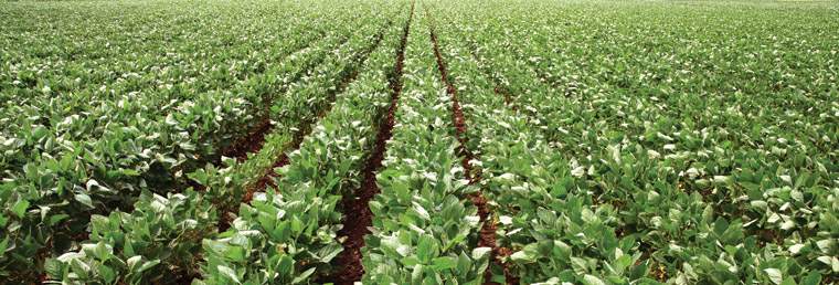 Revista PRODUCCION: Oportunidades de negocio para la producci&oacute;n rural