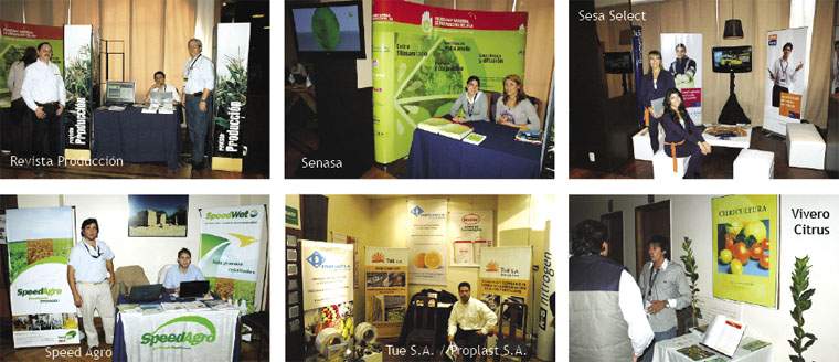 Revista PRODUCCION: Limones