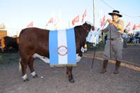 Revista PRODUCCION: Premio Gran Campeona Hembra para Los Reales