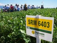 Revista PRODUCCION: Nuevas variedades de sojas Sursem