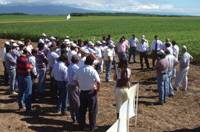 Revista PRODUCCION: Nuevas variedades de sojas Sursem