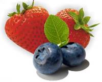 Revista PRODUCCION: Berries en Tucum&aacute;n: la frutilla del postre