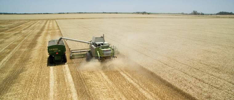 Revista PRODUCCION: El campo sigue siendo el principal sostén del país