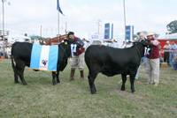 Revista PRODUCCION: 67º Exposición Rural Salteña