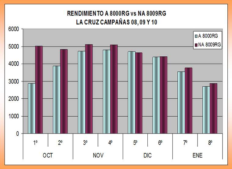 Revista PRODUCCION: Soja NA 8009RG Nidera Semillas