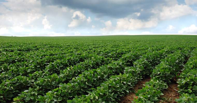 Revista PRODUCCION: Coadyuvante SpeedWet NG