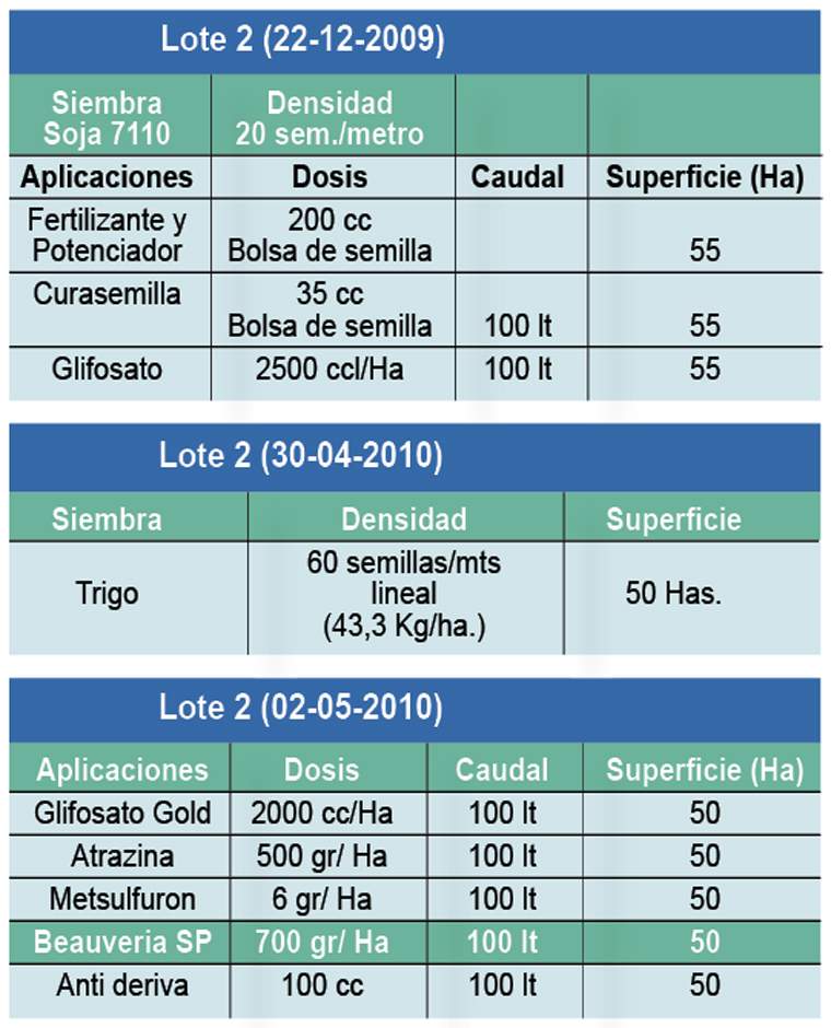 Revista PRODUCCION: Aplicación de Beauveria SP