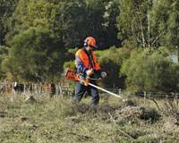 Revista PRODUCCION: Desbrozadoras forestales Husqvarna 343R - 143R II