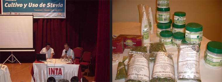 Revista PRODUCCION: Stevia